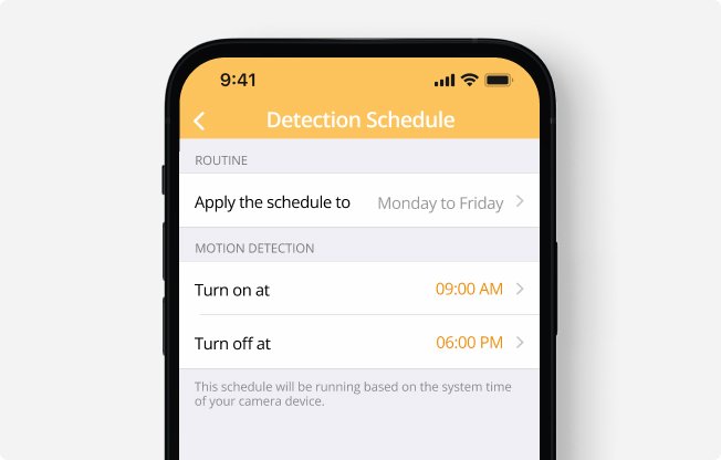 Detection Schedule